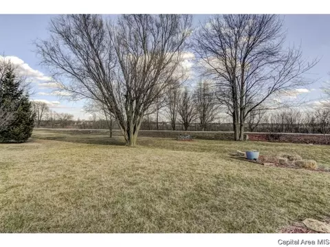 2312 Cormorant Dr, Springfield, IL 62711 photo 20