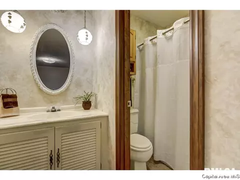 3221 Ellendale Dr, Springfield, IL 62704 photo 27
