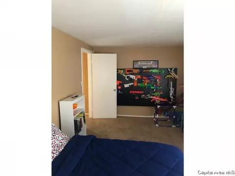 312 E Sycamore St, Thayer, IL 62689 photo 18