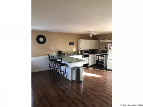 312 E Sycamore St, Thayer, IL 62689 photo 7