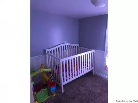 312 E Sycamore St, Thayer, IL 62689 photo 19