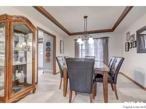 2408 Silver Mill Ct, Springfield, IL 62704 photo 14