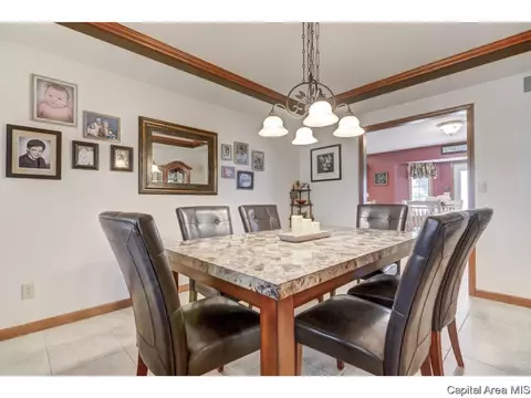 2408 Silver Mill Ct, Springfield, IL 62704 photo 13