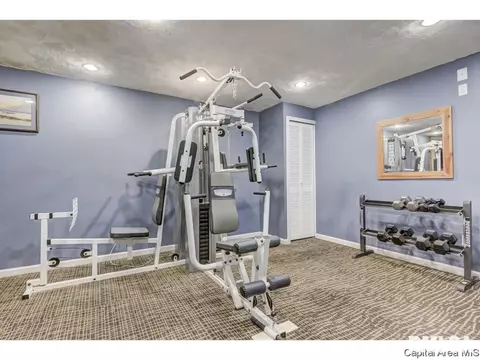 2408 Silver Mill Ct, Springfield, IL 62704 photo 29