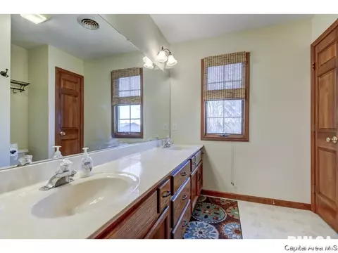 2408 Silver Mill Ct, Springfield, IL 62704 photo 27