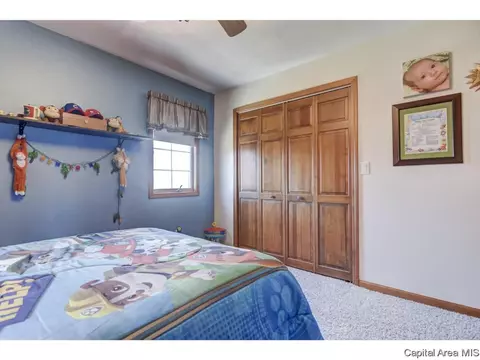 2408 Silver Mill Ct, Springfield, IL 62704 photo 24