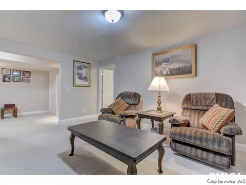 4909 Bears Paw, Springfield, IL 62711 photo 30