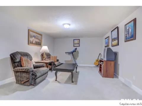 4909 Bears Paw, Springfield, IL 62711 photo 29