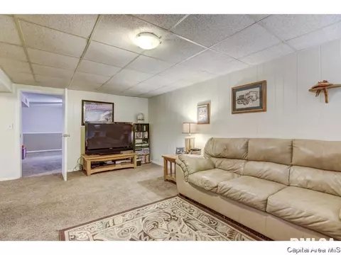 9 Lariat Dr, Springfield, IL 62702 photo 22