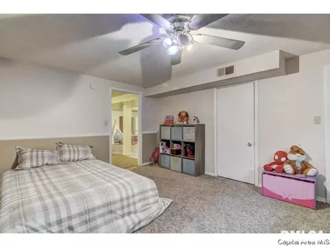 9 Lariat Dr, Springfield, IL 62702 photo 25