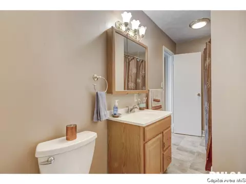 9 Lariat Dr, Springfield, IL 62702 photo 17