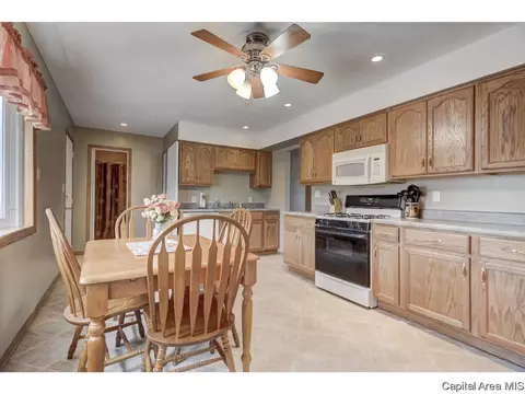9 Lariat Dr, Springfield, IL 62702 photo 8