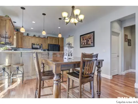 7425 Torrington Way, Springfield, IL 62711 photo 19