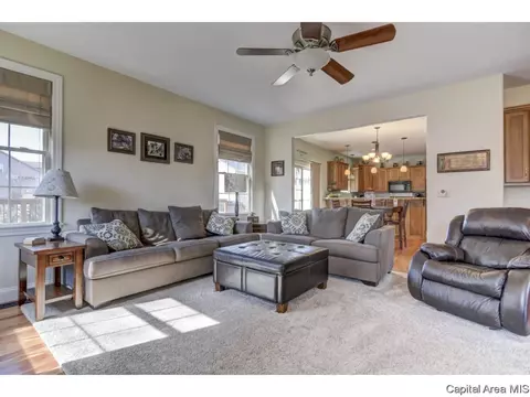 7425 Torrington Way, Springfield, IL 62711 photo 27