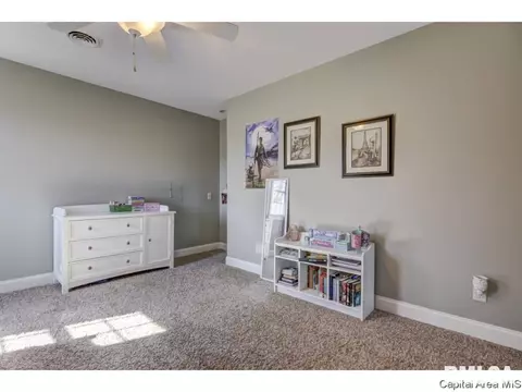 7425 Torrington Way, Springfield, IL 62711 photo 10