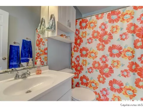 2961 S 5th Street St, Springfield, IL 62703 photo 5