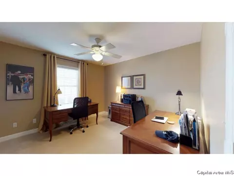 3217 Bowwood Dr, Springfield, IL 62712 photo 19