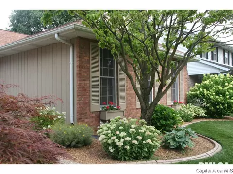3217 Bowwood Dr, Springfield, IL 62712 photo 32