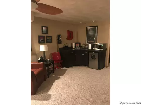 521 Old Tippecanoe Dr, Springfield, IL 62711 photo 33