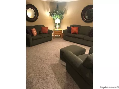 521 Old Tippecanoe Dr, Springfield, IL 62711 photo 5