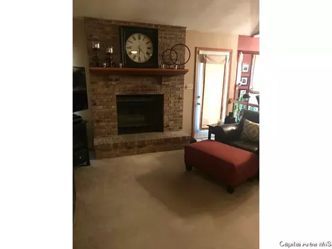 521 Old Tippecanoe Dr, Springfield, IL 62711 photo 32