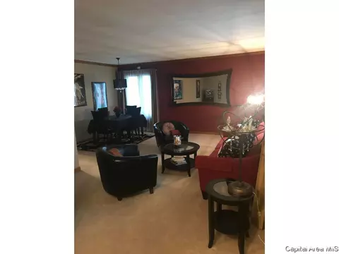 521 Old Tippecanoe Dr, Springfield, IL 62711 photo 23