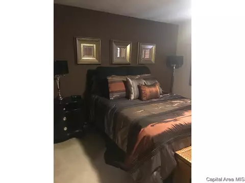 521 Old Tippecanoe Dr, Springfield, IL 62711 photo 25
