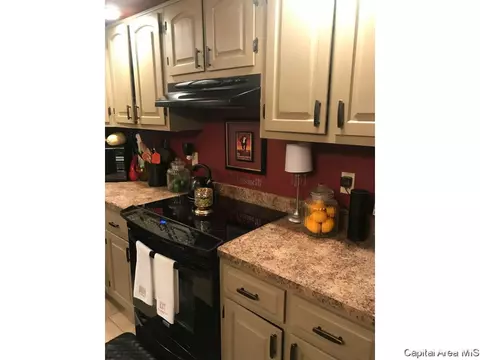 521 Old Tippecanoe Dr, Springfield, IL 62711 photo 22