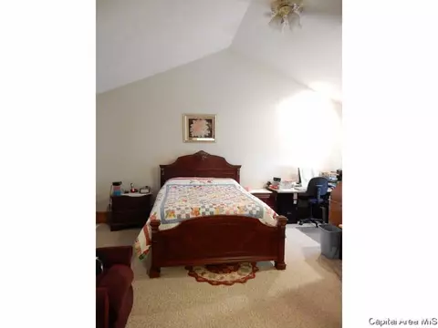401 N Thomas St, Morrisonville, IL 62546 photo 8