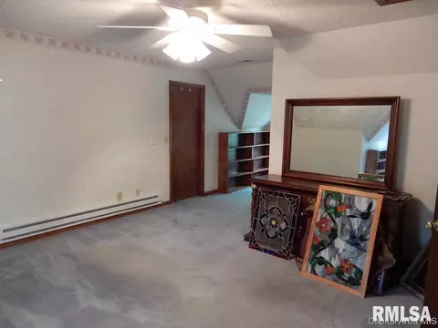 401 N Thomas St, Morrisonville, IL 62546 photo 16