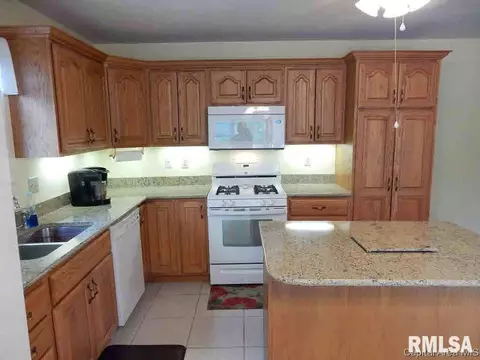 401 N Thomas St, Morrisonville, IL 62546 photo 7