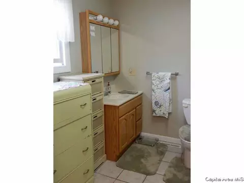 401 N Thomas St, Morrisonville, IL 62546 photo 18