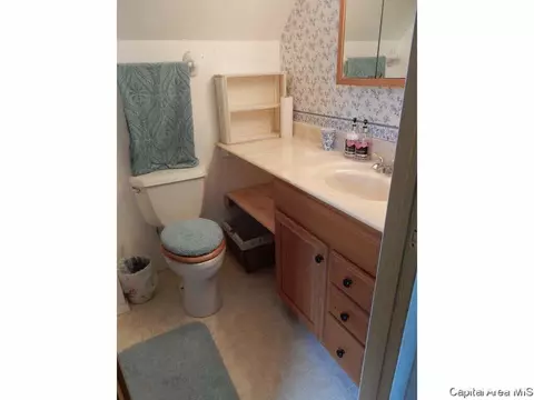 401 N Thomas St, Morrisonville, IL 62546 photo 13