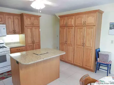 401 N Thomas St, Morrisonville, IL 62546 photo 6