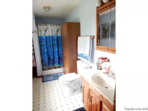 401 N Thomas St, Morrisonville, IL 62546 photo 15