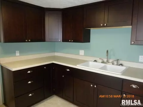 19 School Ln, Alsey, IL 62610 photo 4