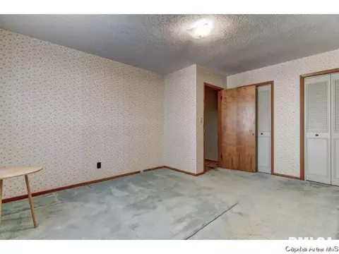 1241 Mossman Ave, Springfield, IL 62702 photo 12