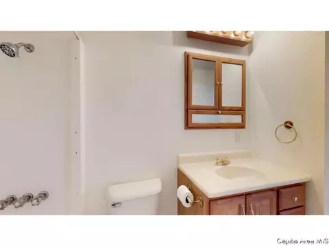 3009 Sandgate Rd, Springfield, IL 62702 photo 21