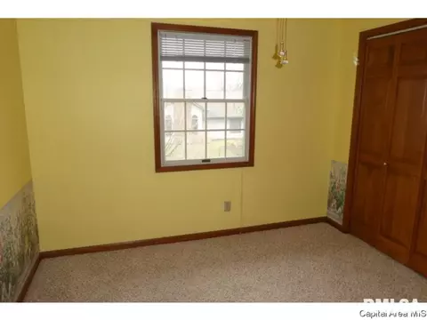 1716 Hunter Ridge Dr, Springfield, IL 62704 photo 16