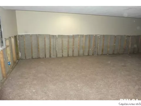 1716 Hunter Ridge Dr, Springfield, IL 62704 photo 21