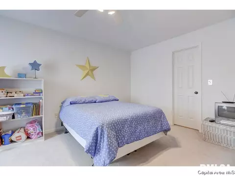3109 Sequoia Dr, Springfield, IL 62712 photo 28