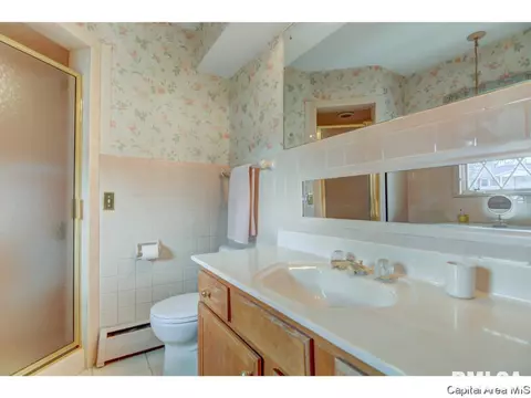 79 White Birch Rd, Springfield, IL 62712 photo 28