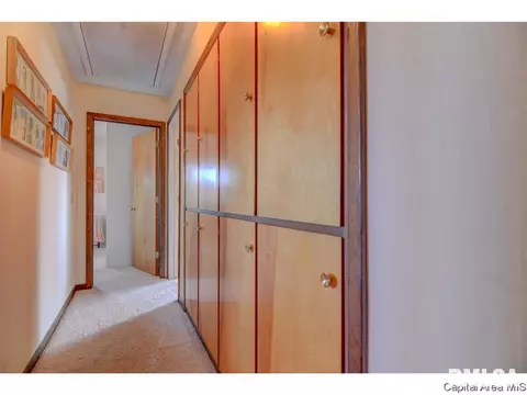 79 White Birch Rd, Springfield, IL 62712 photo 23