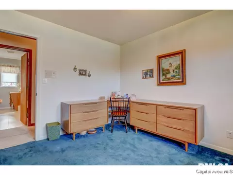 79 White Birch Rd, Springfield, IL 62712 photo 33
