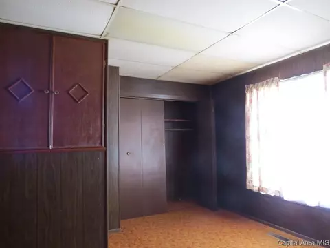 1043 N Franklin Ave, Springfield, IL 62702 photo 18