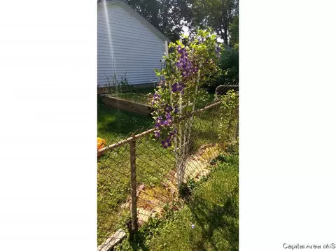 1043 N Franklin Ave, Springfield, IL 62702 photo 29