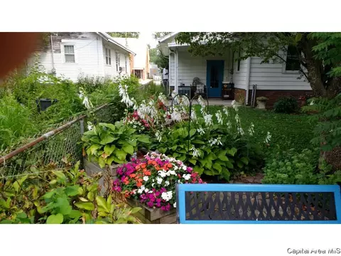 1043 N Franklin Ave, Springfield, IL 62702 photo 32
