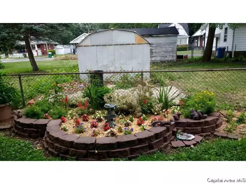 1043 N Franklin Ave, Springfield, IL 62702 photo 31