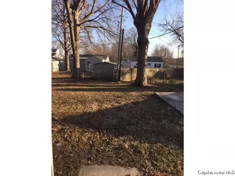 73 Lilac Ln, Springfield, IL 62702 photo 19