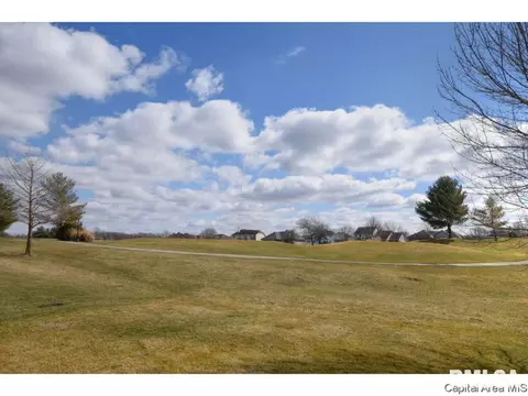2804 Muirfield, Springfield, IL 62711 photo 31